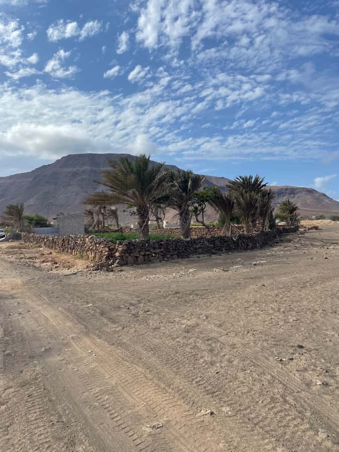 Hike Volcano Viana - Small detours: turtles, twin volcano viewpoints, and local cheese stops