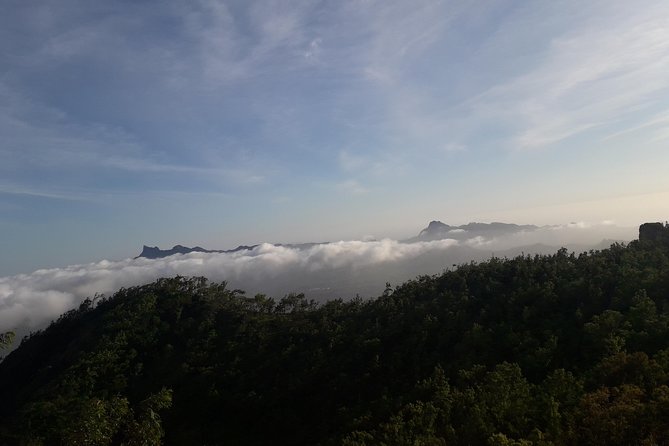 Hikking Natural Park/Serra Malagueta - Walking Through a Green, Protected Park (And When It’s Best)