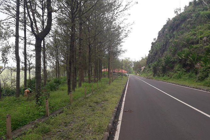 Hikking Natural Park/Serra Malagueta - Pickup in Praia: Turning Travel Time Into Trail Time