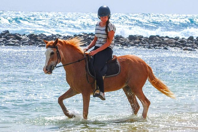 Horse Riding in Sal Island - Cabo Verde - Key Things to Know Before You Ride on Sal