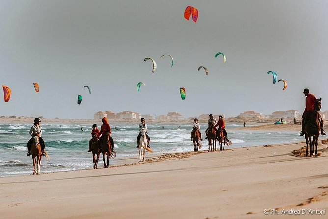 Horse Riding in Sal Island - Cabo Verde - When You Choose 1.5 or 2 Hours, Kite Beach Becomes the Main Event