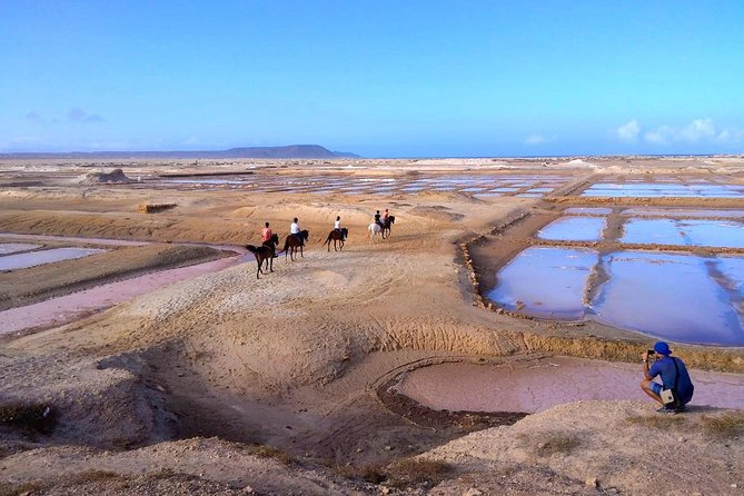 Horse Riding in Sal Island - Cabo Verde - Small Group, Guide Ratio, and Getting Matched With the Right Horse