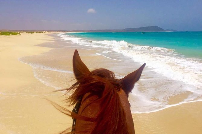Horse Riding in Sal Island - Cabo Verde - Timing, Getting There, and the Taxi Catch
