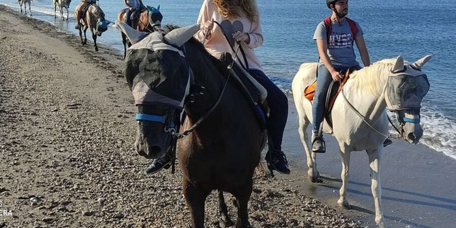 Horseback riding in Boavista for beginners - Key Points Before You Book