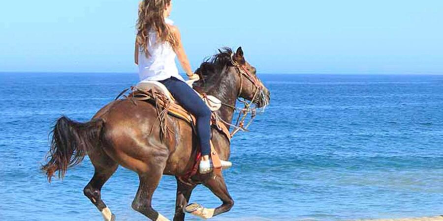 Horseback riding in Boavista for beginners - Boa Vista Horseback Riding: The What, Not the Hype