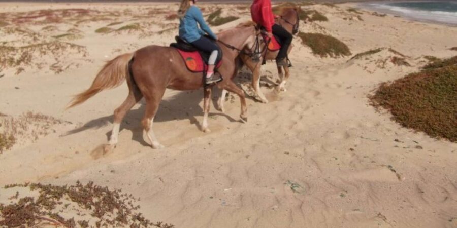 Horseback riding in Boavista for beginners - Price and Value: Is $81 Worth It?