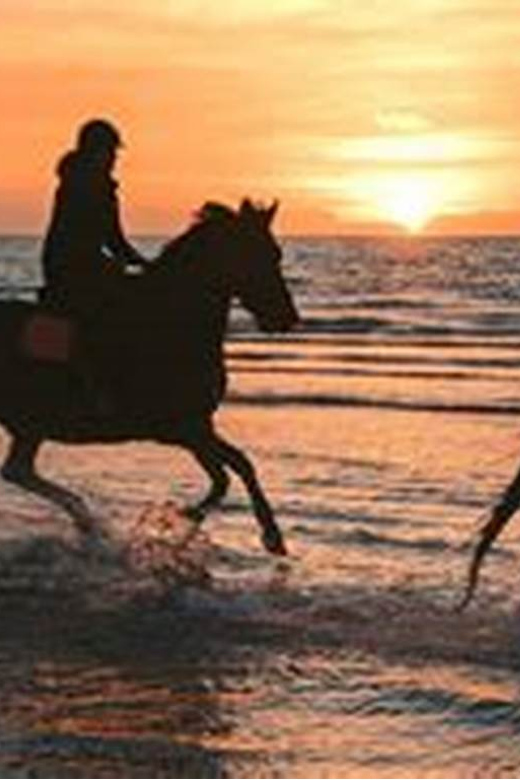Horseback riding in Boavista for beginners - Getting There: Riu Palace Bus Station, Meet Early