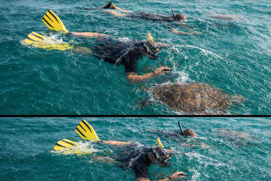 Ilha Do Sal: Snorkeling with Local Guide - Price and value: is $35 reasonable for 90 minutes?