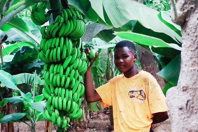 Like Locals: Banana Plantation, and Cuscuz with locals - Key Points You’ll Care About