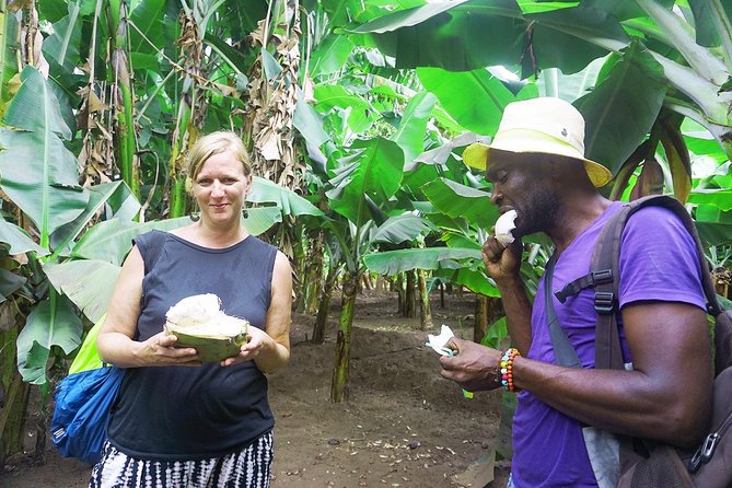 Like Locals: Banana Plantation, and Cuscuz with locals - The Return Drive Through Rocks and Valleys (Your Guide’s Story Time)