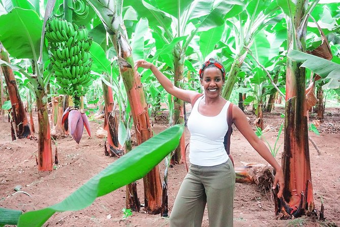 Like Locals: Banana Plantation, and Cuscuz with locals - Group Size, Guide Style, and Language Notes