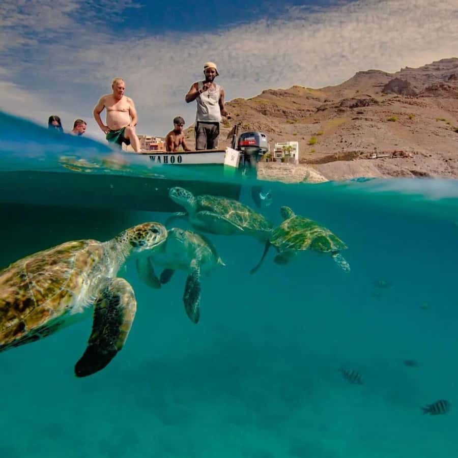 Live Snorkeling & Swimming with Sea Turtles in the Atlantic - Where You’ll Swim: Sao Pedro’s Turtle Bay, 15 Minutes from Mindelo
