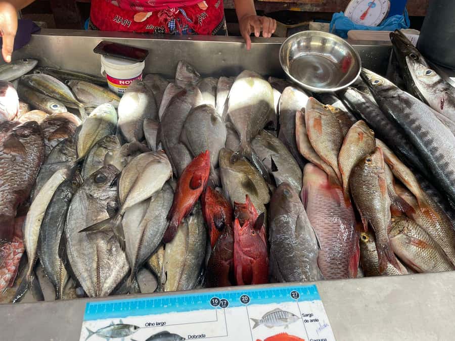 Mindelo City Walking Tour - The Arts and Crafts Market Stop for Real Shopping Time