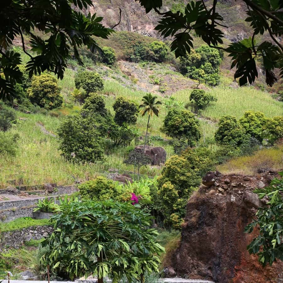 Paúl hike, the green garden - Small group hiking, and what that means for your day