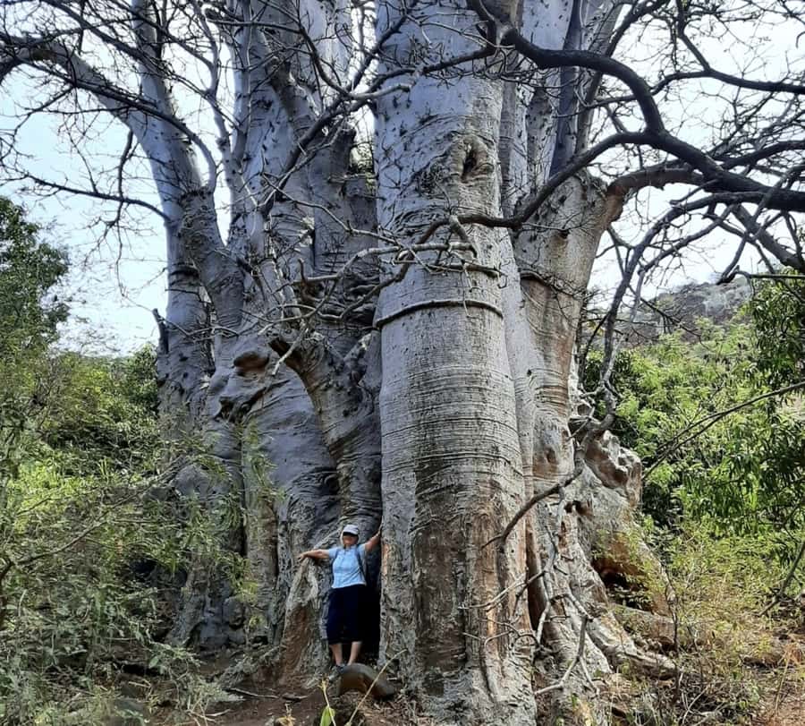Praia: Baobab Mysterious Tree, Green Valley & Old City Hike - From Praia to Cidade Velha, the hike’s best trick is the mix