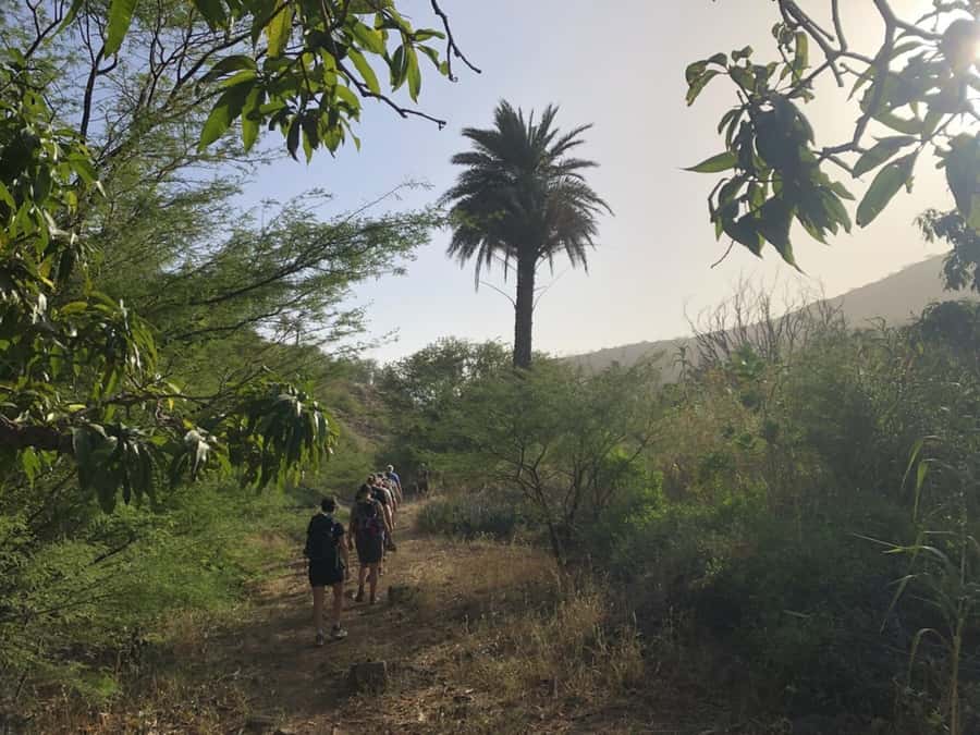Praia: Baobab Mysterious Tree, Green Valley & Old City Hike - Price and value: how $53 makes sense for what you get