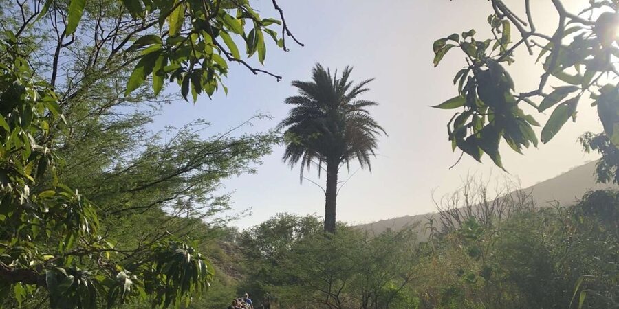 Praia: Baobab Mysterious Tree, Green Valley & Old City Hike - Practical tips that make the day smoother