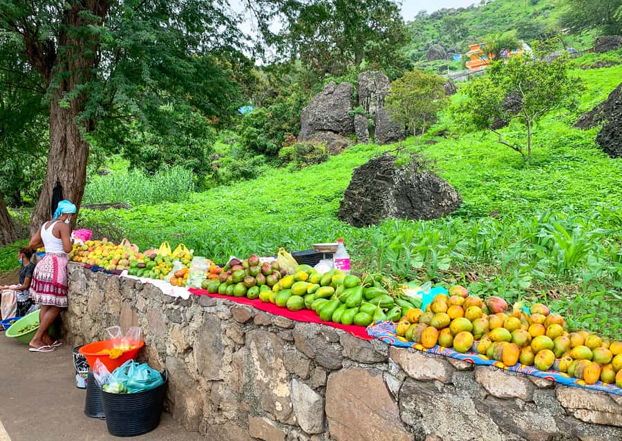 Praia: Santiago Island Tour with Tastings and Tarrafal Beach - Guide and driver quality: what you can expect from the Bu Country Tours crew