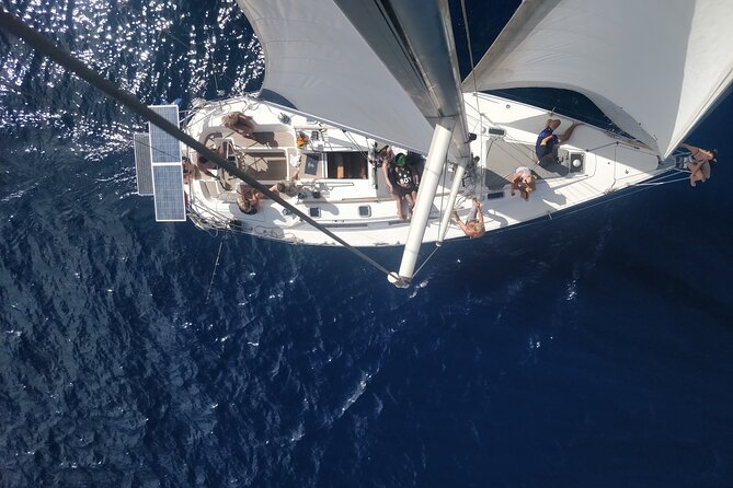 Private full day - Sailing Yacht - Southwest Around Ponta Sino: Wildlife Watching Without the Pressure