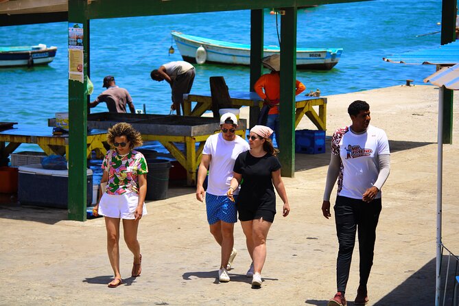 Private Full-Day Tour of Sal Island - How the private Sal Island day works, from pickup to timing