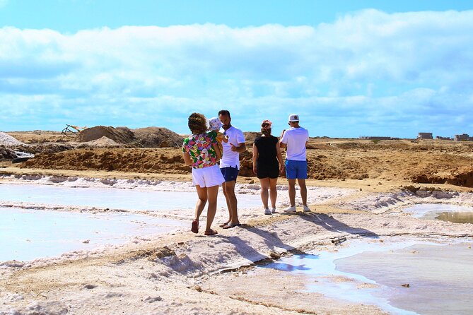 Private Full-Day Tour of Sal Island - Murdeira nature reserve: coral waters, turtles, and a lion-shaped viewpoint