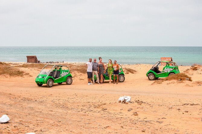 Private Guided Tour of Sal Island | Electric Car with Audio Guide - Key highlights you will actually care about