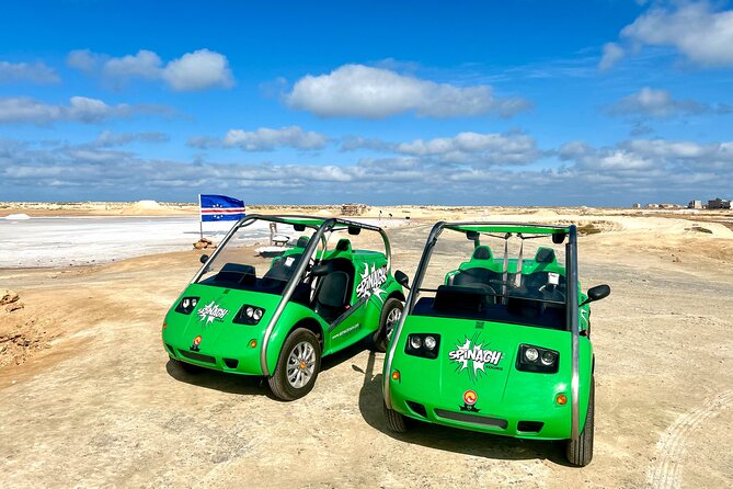 Private Guided Tour of Sal Island | Electric Car with Audio Guide - Ponta do Sinó and the lighthouse: birds, turtles, and big-sky Atlantic views