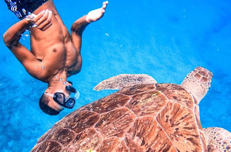 Private Snorkel Experience with Sea Turtle for Cruisers - Why São Vicente Sea Turtles Feel Like a Close Encounter
