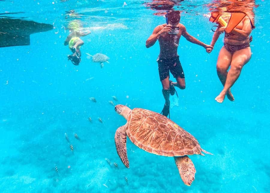 Private Snorkel Experience with Sea Turtle for Cruisers - The Short Boat Ride to a Secret, Pristine Spot