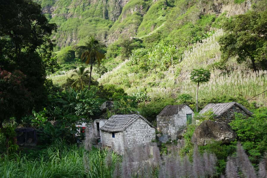 Ribeira Grande: Hiking Day Trip to Ribeira de Torre - Quick hits before you go