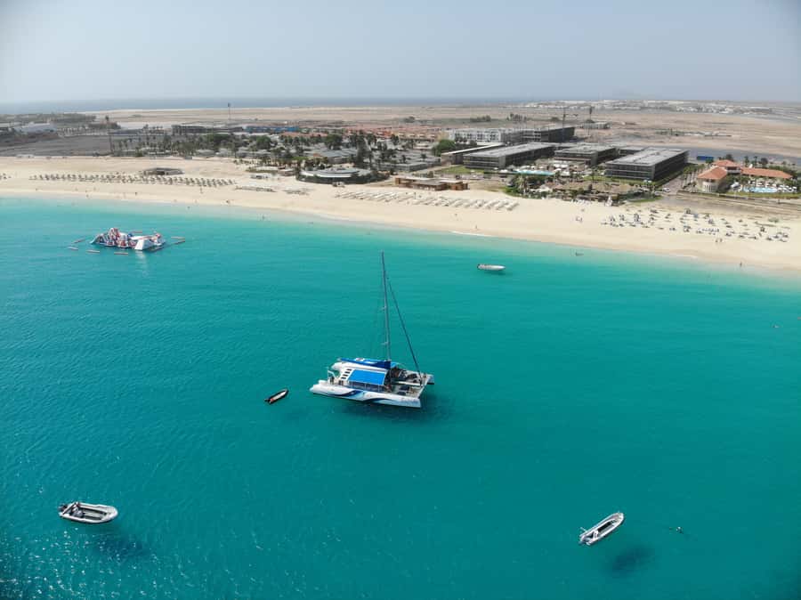 Sal: All-Inclusive Half-Day Lounge Catamaran Cruise - Wildlife Odds: Dolphins, Fish, and Sometimes More