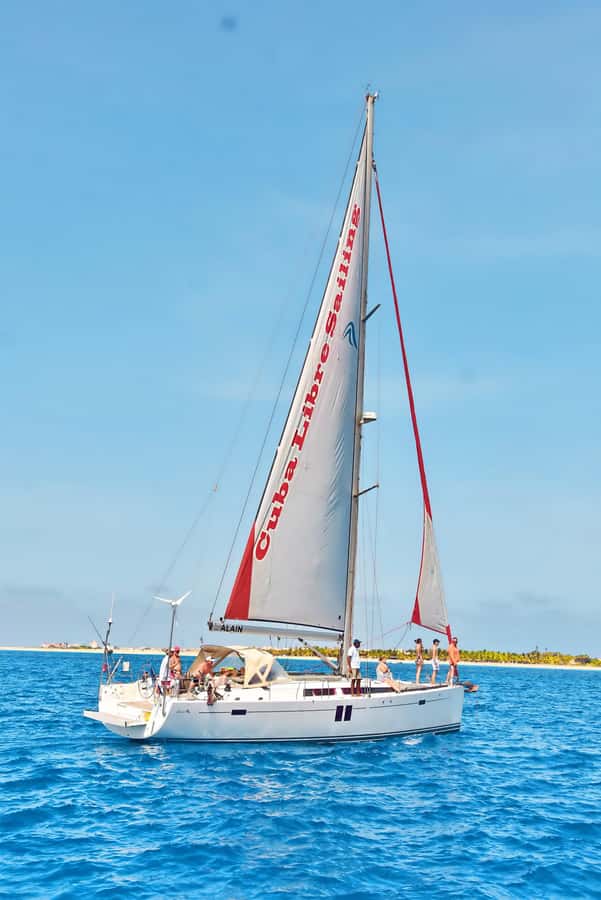 Sal, Cape Verde: Half day on Cuba Libre sailing yacht - Wildlife chances: dolphins, turtles, and whales in season