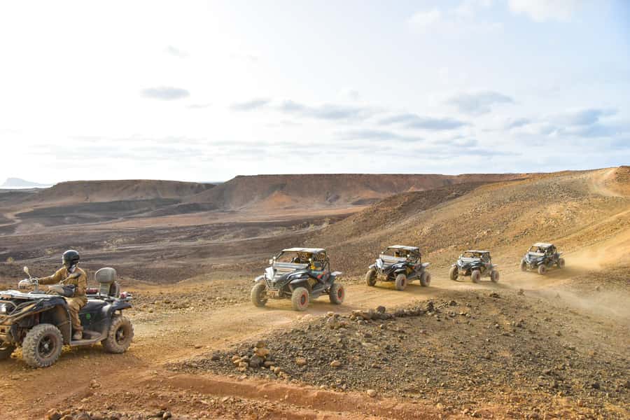 Sal Island: 2-Hour Buggy Desert Adventure - Shark Bay lemon sharks: an eco-focused goal on the route