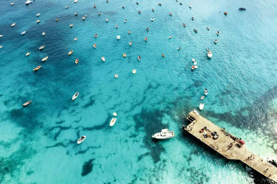Sal Island Catamaran Cruise with All-inDrinks and Snacks - From Palmeira to Open Water, Where the Views Start