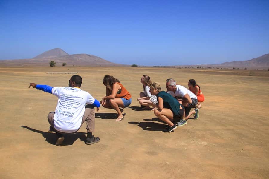 Sal: Island Experience Tour with a Certified Local Guide - Palmeira and the port scene, where the island earns its living