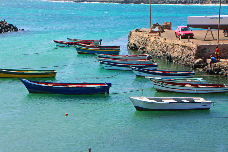 Sal island : Full day excursion Salinas, Shark Bay, Blue Eye - Key takeaways before you go