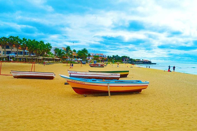 Sal Island: Full-day Private Experience with Local Guide - Why this Sal Island private tour works as a first-time day