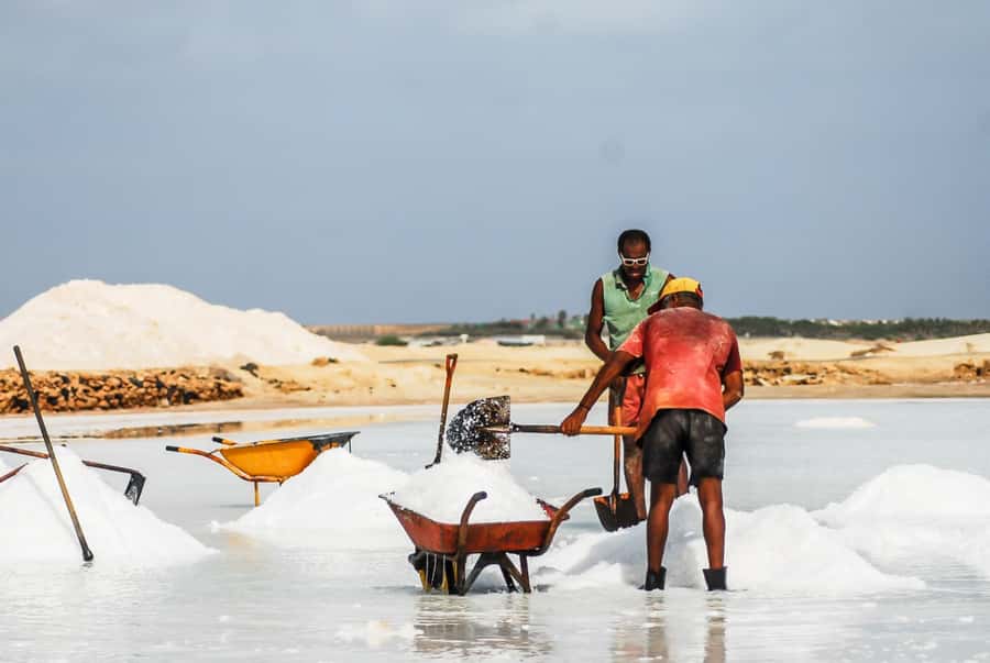 Sal island: Guided Historical and Cultural Tour - Water Route flavors and festival accessories, plus a sea-view snack