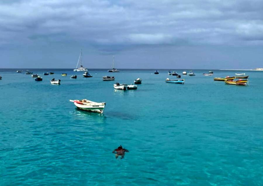 Sal island: Santa Maria city tour, street art and tapas - Beach and pier time without the long grind
