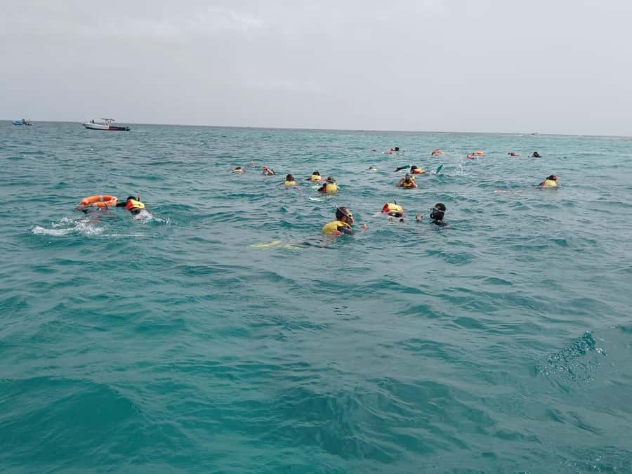 Sal Island: Santa Maria Snorkelling - From the Pier to the Water: How the Tour Starts in Santa Maria