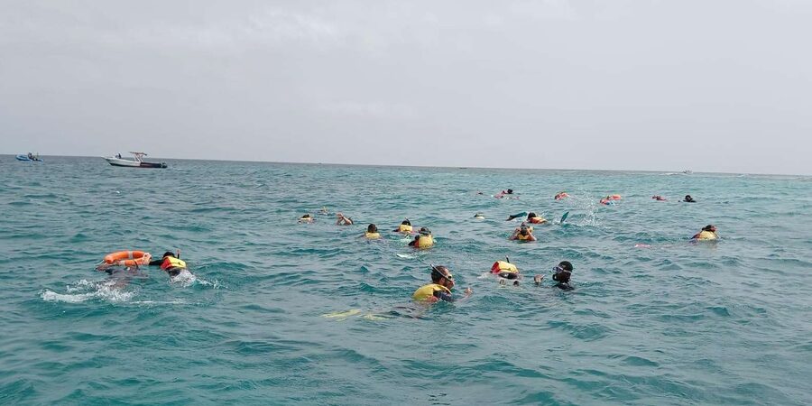 Sal Island: Santa Maria Snorkelling - Dunas Bikini and Farol: Two Extra Reef Stops for Variety