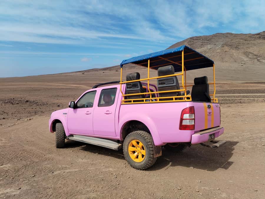 Sal: Island tour with offroad touch and creative pictures - Why Sal Works So Well in a Pink Ford Ranger