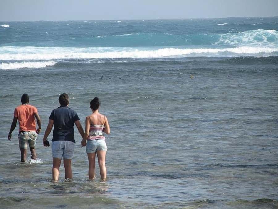 Sal: Lemon Shark Bay and Pedra de Lume Salt Lakes Tour - Key points before you go