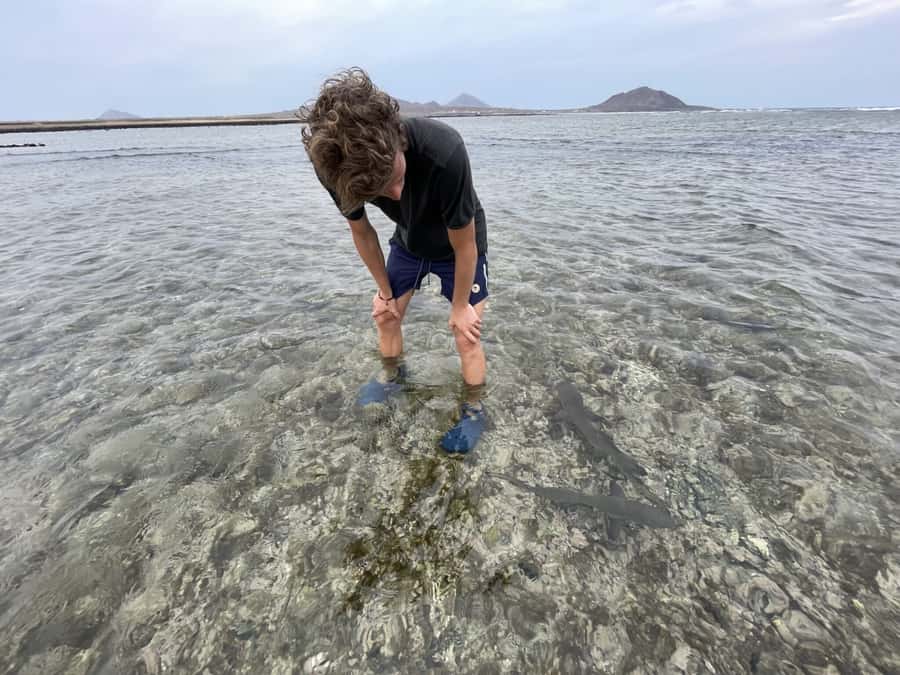 Sal: Lemon Shark Bay and Pedra de Lume Salt Lakes Tour - Pedra de Lume salt lakes: float time plus salt-mine context
