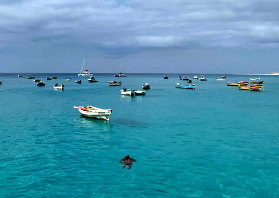 Sal: Private Tour Secrets of a native guide All-inclusive - Key highlights worth knowing