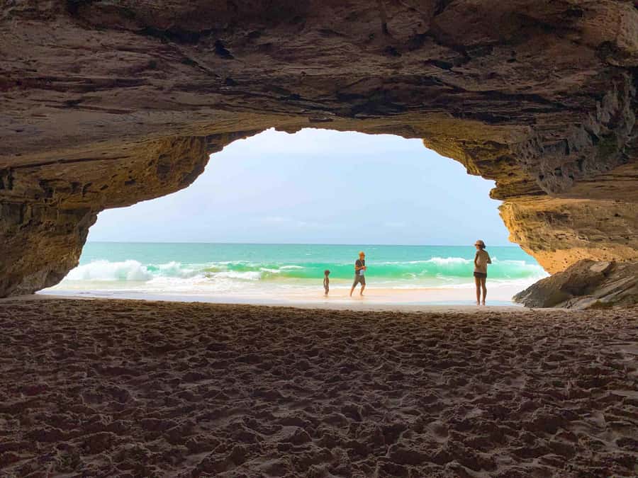 Sal Rei: Boa Vista Island Full-Day North to South Discovery - Sal Rei city tour: market energy plus the included lunch
