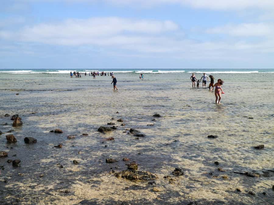 Salt Pans & Lemon Sharks Experience - Why Salt Pans made Sal famous, and where Pedra de Lume fits