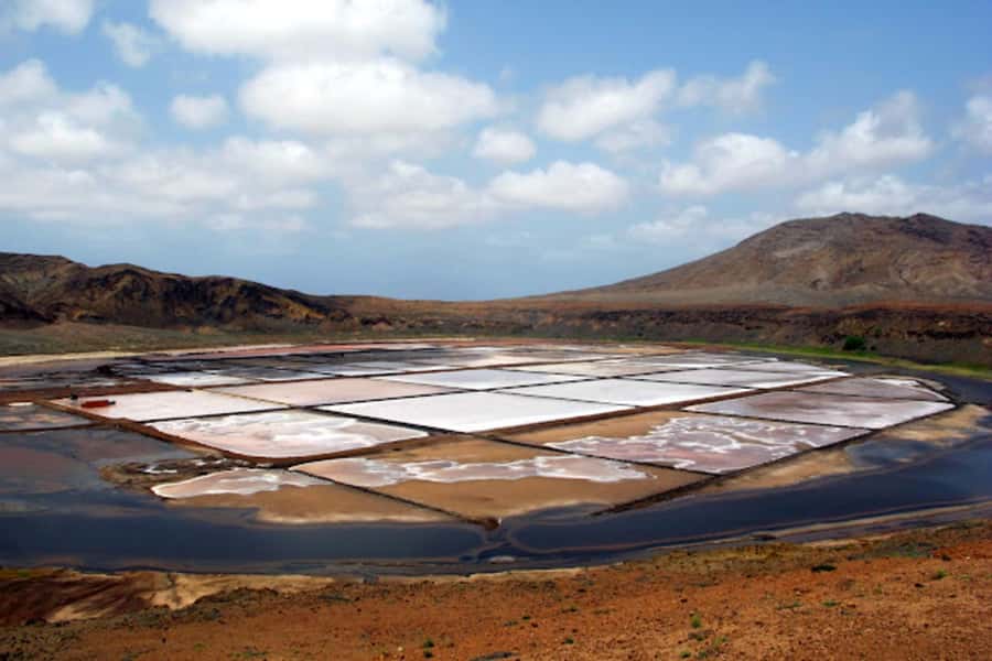 Salt Pans & Lemon Sharks Experience - Should you book this private lemon shark and salt pan tour?
