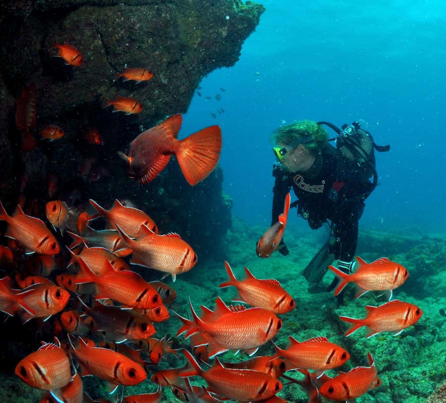 Santa Maria: Discover Scuba Diving - Key Things That Make This Try-Scuba Day Worth Your Time