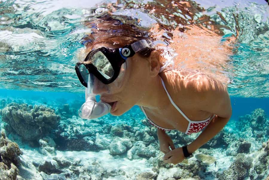 Santa Maria: Guided Snorkeling and Reef Tour - Gear and safety rules that keep the snorkel time enjoyable